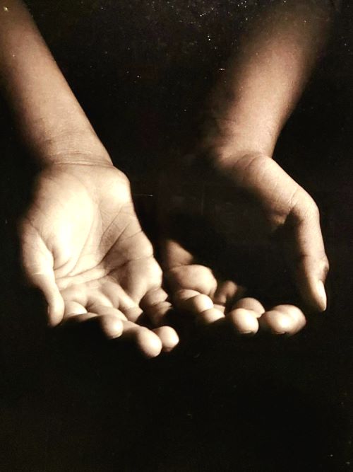 L’inedito. Fioriture a giugno di Gisella&nbsp;Blanco