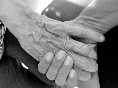 L’inedito. Fioriture a luglio di Max&nbsp;Ponte