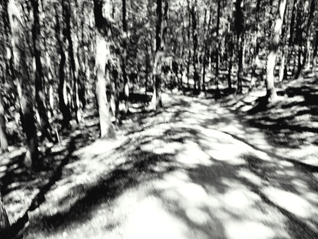 45 decibel: da “Libro dell’ansia” di Alberto Bertoni, Book&nbsp;editore