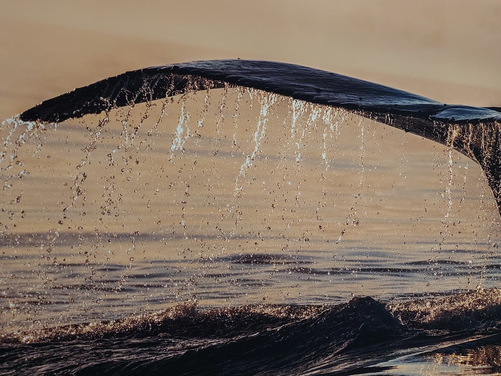 In estate “Il Tasto&nbsp;Giallo”