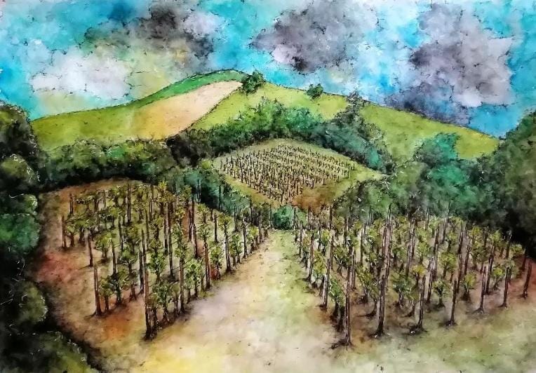 L’inedito. Fioriture ad agosto di Michela&nbsp;Zanarella