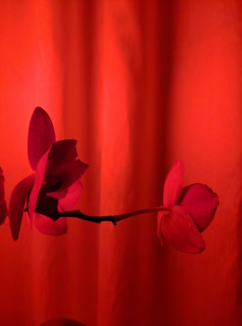 45 decibel: da “Mi troverai vivo” di Antonio&nbsp;Corona