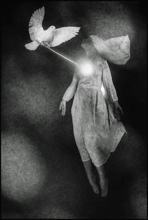 45 decibel: “L’angelo delle distanze” di Elio&nbsp;Grasso