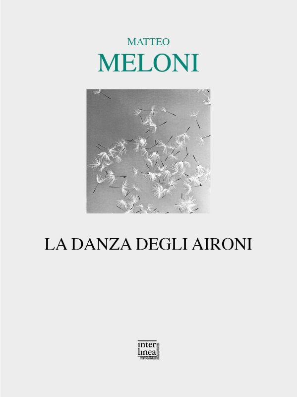 LA DANZA DEGLI AIRONI di Matteo Meloni (Interlinea&nbsp;edizioni)