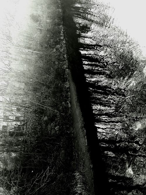 45 decibel: “di queste mie notti insonni” di Luca&nbsp;Pizzolitto