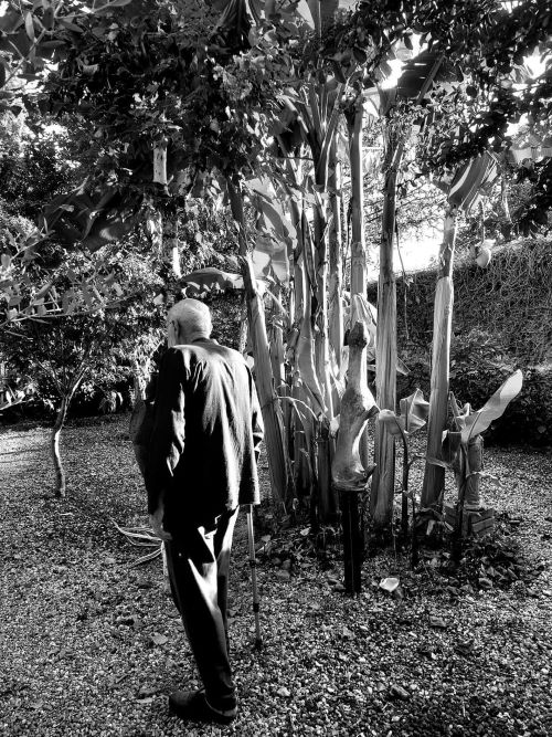 Segnalibro illustrato in: “Tutta la terra che ci resta”, di Silvia&nbsp;Rosa