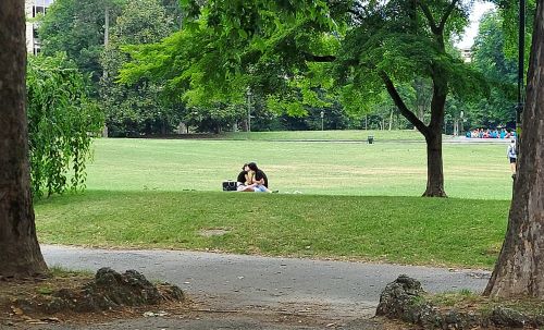 L’inedito. Fioriture a dicembre di Franca&nbsp;Alaimo