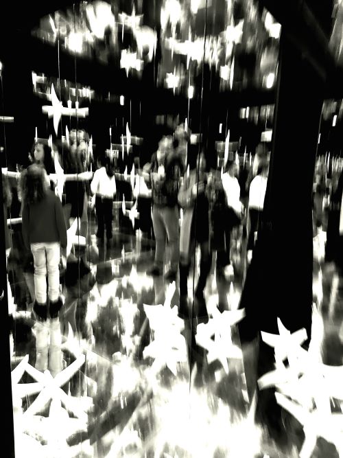 L’inedito. Fioriture a gennaio di Ulisse&nbsp;Morgione