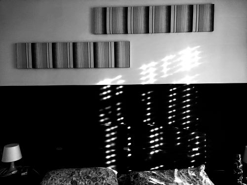 L’inedito. Fioriture a marzo di Bruno&nbsp;Galluccio