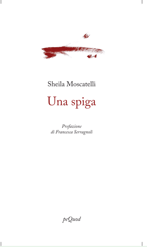 Affioramenti da “Una spiga” di  Sheila Moscatelli, peQuod,&nbsp;2025