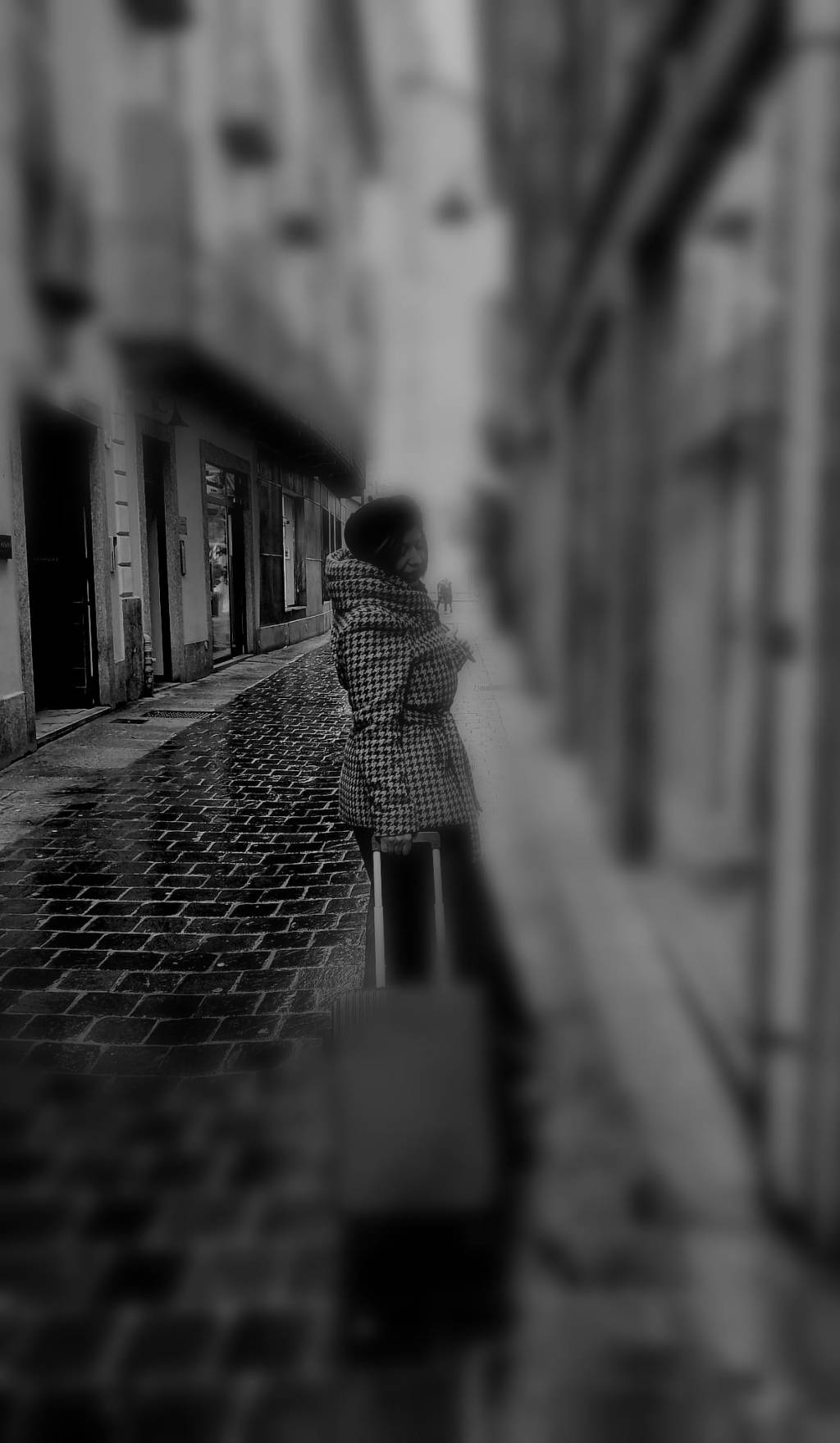 L’inedito. Fioriture a maggio di Antonella&nbsp;Sica