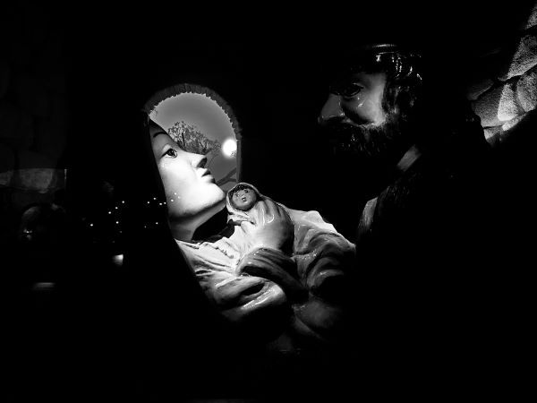 L’inedito. Fioriture in giugno di Valentino&nbsp;Fossati