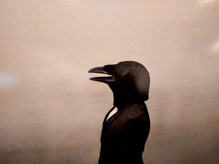 Segnalibro illustrato in “RAL 9005” di Cristian Ponsillo (puntoacapo editrice,&nbsp;2025)