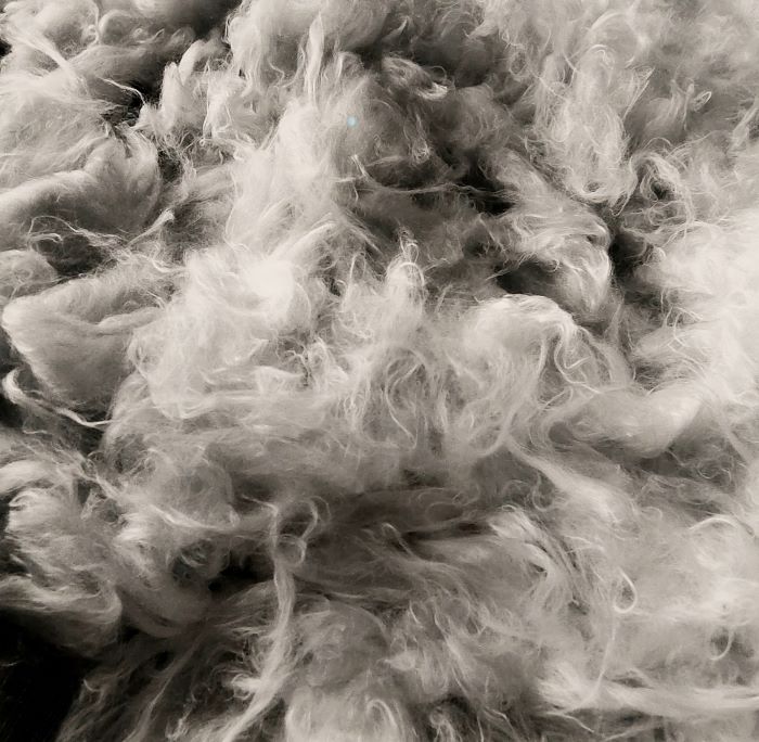 Solstizio d’inverno “Il Tasto&nbsp;Giallo”