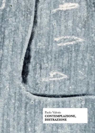 “A4 – una pagina” su “Contemplazione, distrazione” di Paolo Valesio