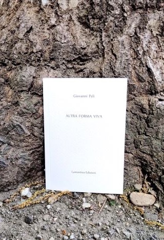 Affioramenti da “Altra forma viva” di Giovanni Peli, Lamantica edizioni,&nbsp;2026