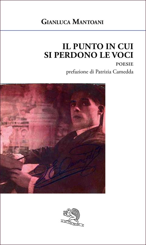 IL PUNTO IN CUI SI PERDONO LE VOCI di Gianluca Mantoani (La Vita Felice,&nbsp;2025)
